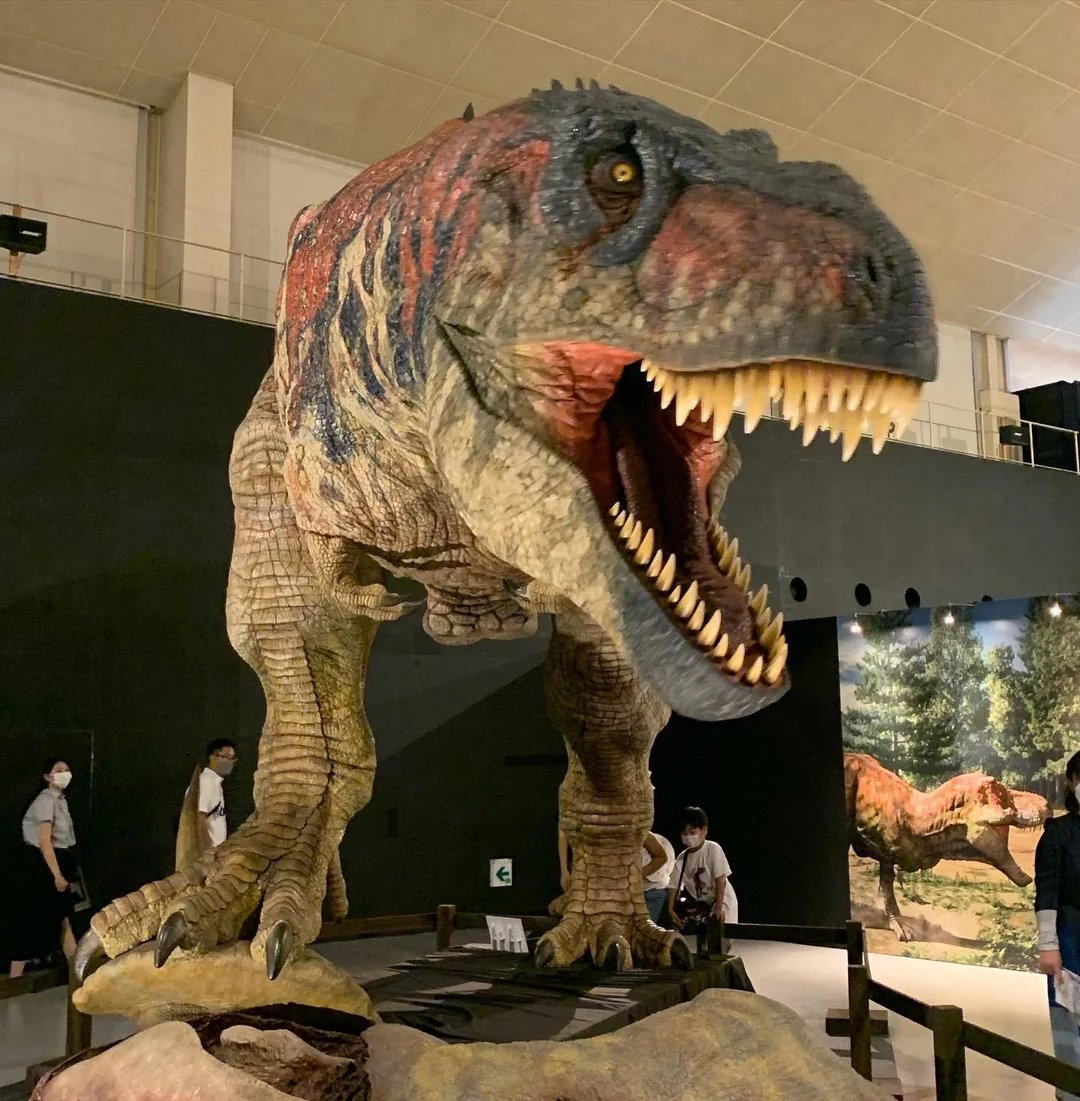 🦖 후쿠이 현립 공룡 박물관 이미지 3